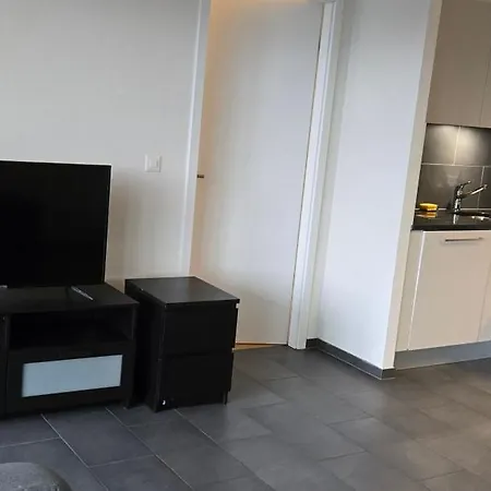 Entier 85m2, 2 Chambres, 2 Salles De Bain, Salon, Cuisine Entierement Equipee, Au Bouveret * Port-Valais