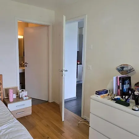 Apartment Entier 85m2, 2 Chambres, 2 Salles De Bain, Salon, Cuisine Entierement Equipee, Au Bouveret Port-Valais